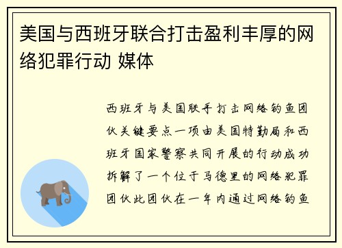 美国与西班牙联合打击盈利丰厚的网络犯罪行动 媒体 美国与西班牙联合打击盈利丰厚的网络犯罪行动 媒体