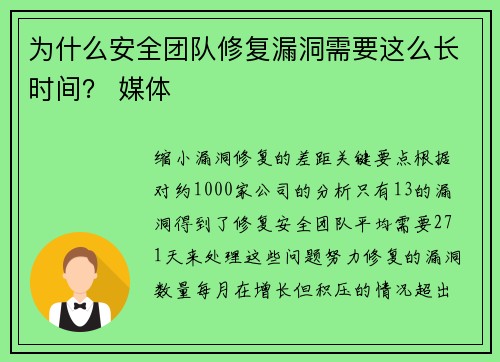为什么安全团队修复漏洞需要这么长时间? 媒体 为什么安全团队修复漏洞需要这么长时间? 媒体